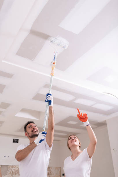 Best Mold Odor Removal Services  in Eastman, GA