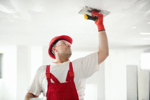 Best Mold Prevention Services  in Eastman, GA