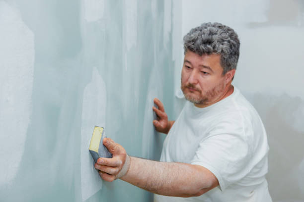 Best Mold Damage Restoration  in Eastman, GA
