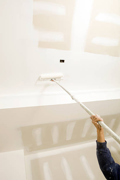 Best Mold Documentation for Insurance Claims  in Eastman, GA