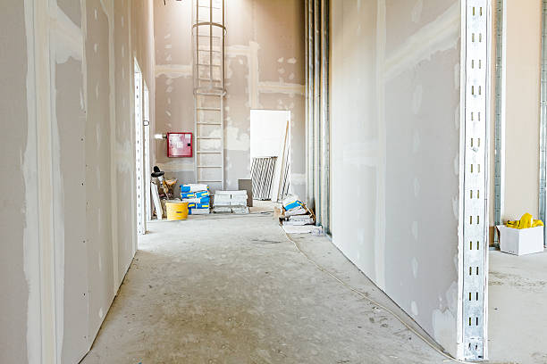  Eastman, GA Mold Removal Pros
